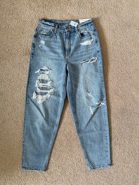 AE Relaxed Mom Jeans